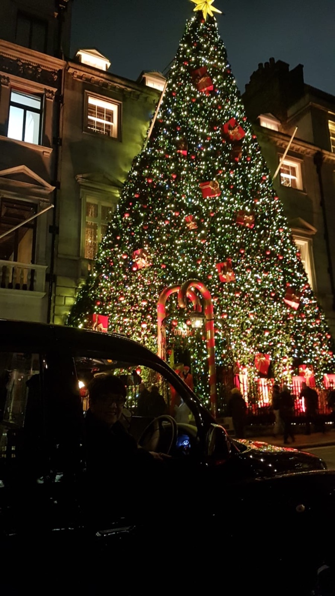 Black Taxi Christmas Lights Tour Black Taxi Sightseeing Tours